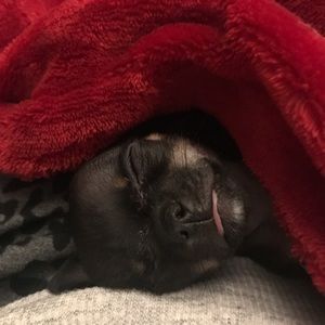 Meet your Posher, Leslie